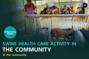 Swine health care activity in the community