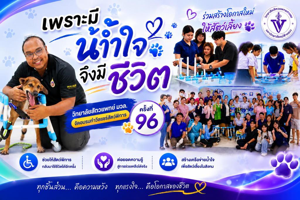 เพราะมีน้ำใจ จึงมีชีวิต” วิทยาลัยสัตวแพทย์ มวล. จัดอบรมทำวีลแชร์สัตว์พิการ ครั้งที่ 96 สร้างโอกาสใหม่ให้สัตว์เลี้ยง