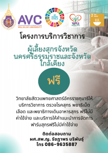 ขอเชิญชวน ตรวจโรค พยาธิเม็ดเลือด และพยาธิทางเดินอาหารสุกร ฟรีไม่มีค่าใช้จ่าย