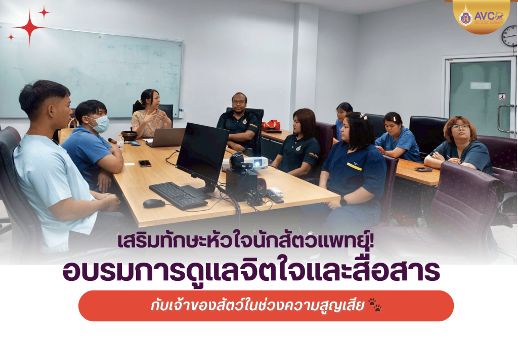 💚🩺 เสริมทักษะหัวใจนักสัตวแพทย์! อบรมการดูแลจิตใจและสื่อสารกับเจ้าของสัตว์ในช่วงความสูญเสีย 🐾