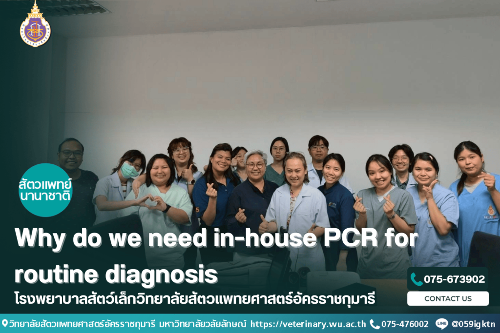 Why do we need in-house PCR for routine diagnosis?