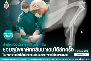 ปาฏิหาริย์เล็ก ๆ ในห้องผ่าตัดช่วยสุนัขขาหักกลับมาเดินได้อีกครั้ง