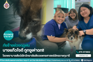 บางแก้วใจดี ถูกงูเห่าฉก!!