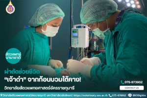 ผ่าตัดช่วยชีวิต “เจ้าดำ” จากก้อนบวมใต้คาง!