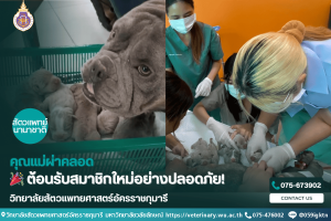 🎉 ต้อนรับสมาชิกใหม่อย่างปลอดภัย! 🐾