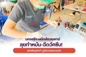 นครศรีฯ ผนึกสัตวแพทย์ ลุยทำหมัน-ฉีดวัคซีน! สกัดพิษสุนัขบ้า สู่เมืองปลอดจรจัด ในวันพิษสุนัขบ้าโลก 2568