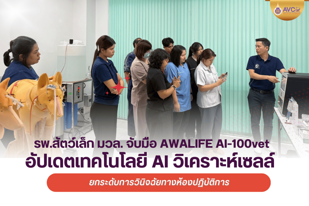 รพ.สัตว์เล็ก มวล. จับมือ AWALIFE AI-100vet อัปเดตเทคโนโลยี AI วิเคราะห์เซลล์ ยกระดับการวินิจฉัยทางห้องปฏิบัติการ