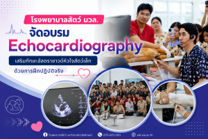 🫀🩺 โรงพยาบาลสัตว์ มวล. จัดอบรม Echocardiography เสริมทักษะอัลตราซาวด์หัวใจสัตว์เล็ก ด้วยการฝึกปฏิบัติจริง 🐶✨