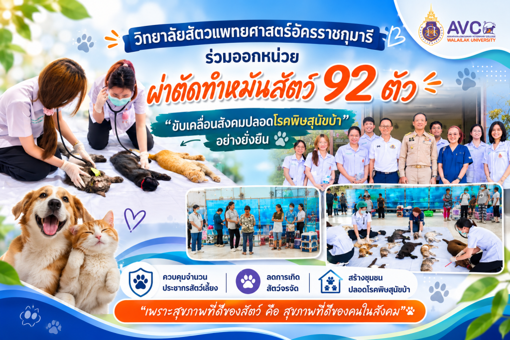 วิทยาลัยสัตวแพทยศาสตร์อัครราชกุมารี ร่วมออกหน่วยผ่าตัดทำหมันสัตว์ 92 ตัว ขับเคลื่อนสังคมปลอดโรคพิษสุนัขบ้าอย่างยั่งยืน