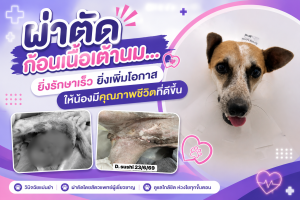 ผ่าตัดก้อนเนื้อเต้านม...ยิ่งรักษาเร็ว ยิ่งเพิ่มโอกาสให้น้องมีคุณภาพชีวิตที่ดีขึ้น