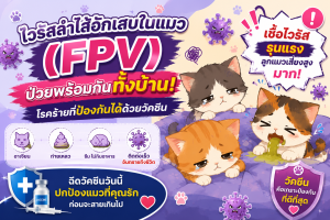 ไวรัสลำไส้อักเสบในแมว (FPV) ป่วยพร้อมกันทั้งบ้าน! โรคร้ายที่ป้องกันได้ด้วยวัคซีน
